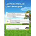 Каркасний басейн на піддонах (305х76см) Intex, Басейн каркасний глибокий, Каркасний надувний басейн, XBE