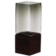 Скляна декоративна ваза квадратна, стильна ваза скло з деревом для квітів прозора HP-32-8