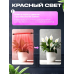 Лампи досвітки рослин (3 гілки), XBE